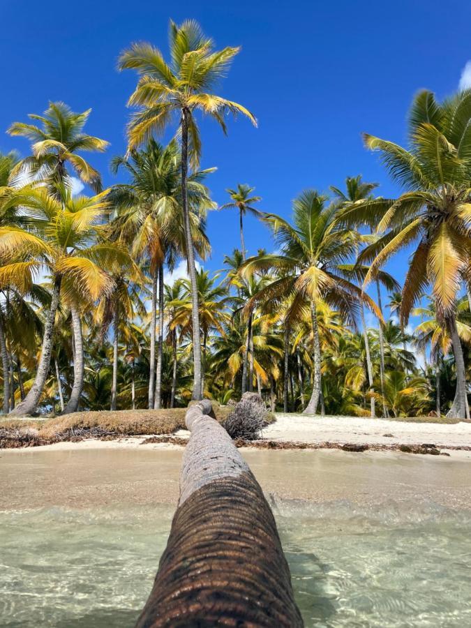 Sailingyacht in San Blas Isla Wichitupo Grande Exterior foto